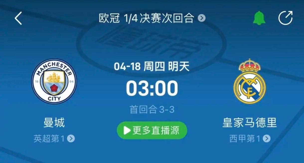 专家分析师