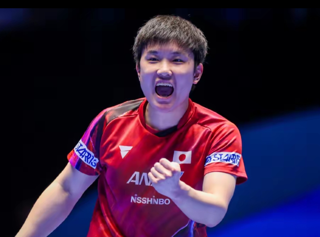 进行稳固防 进行稳固防